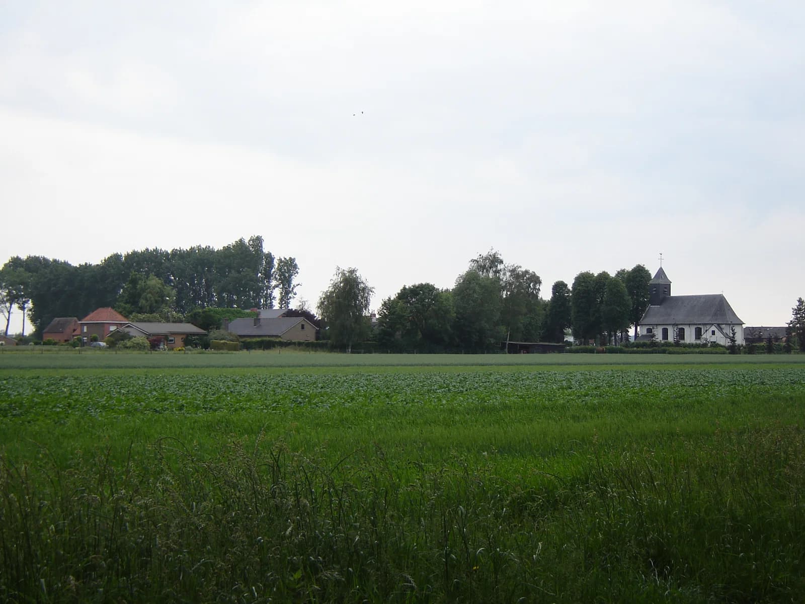 Sint-Jan-in-Eremo