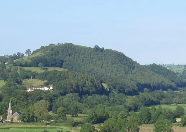 Merlin's Hill