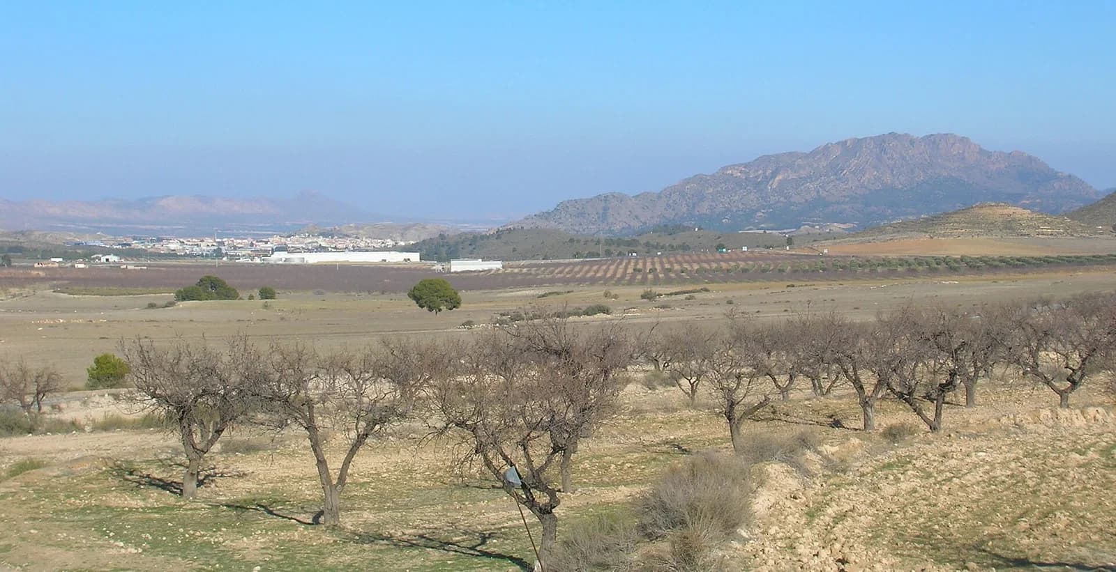 Calasparra