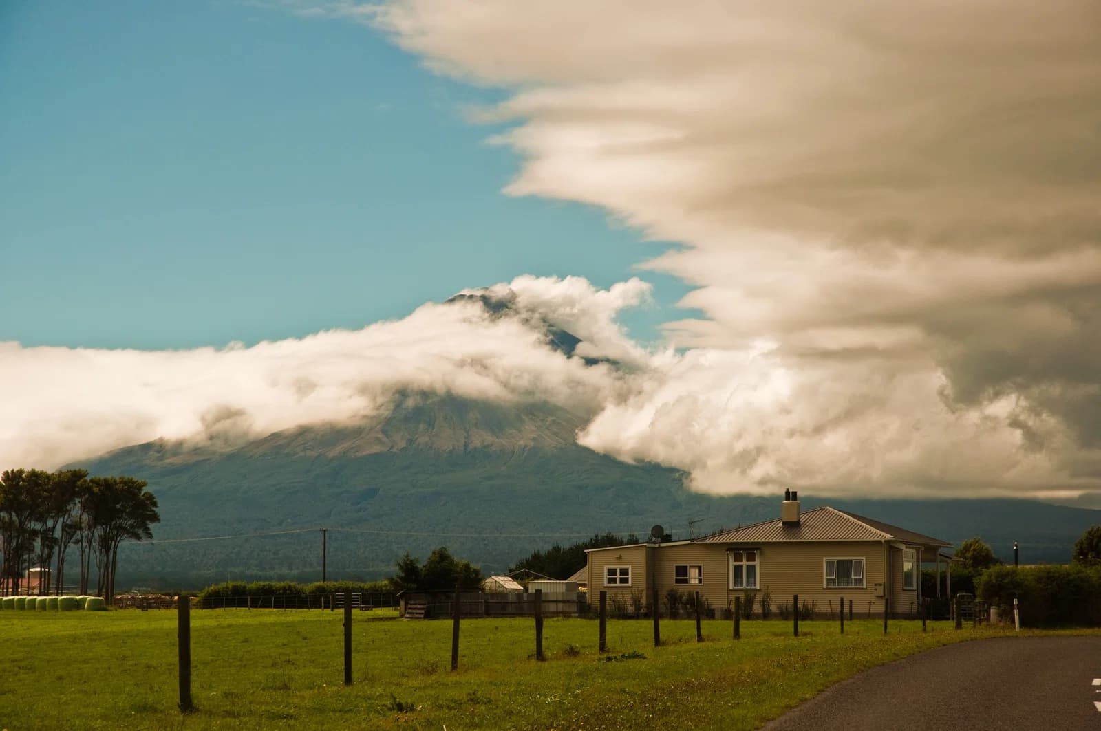 Kaponga