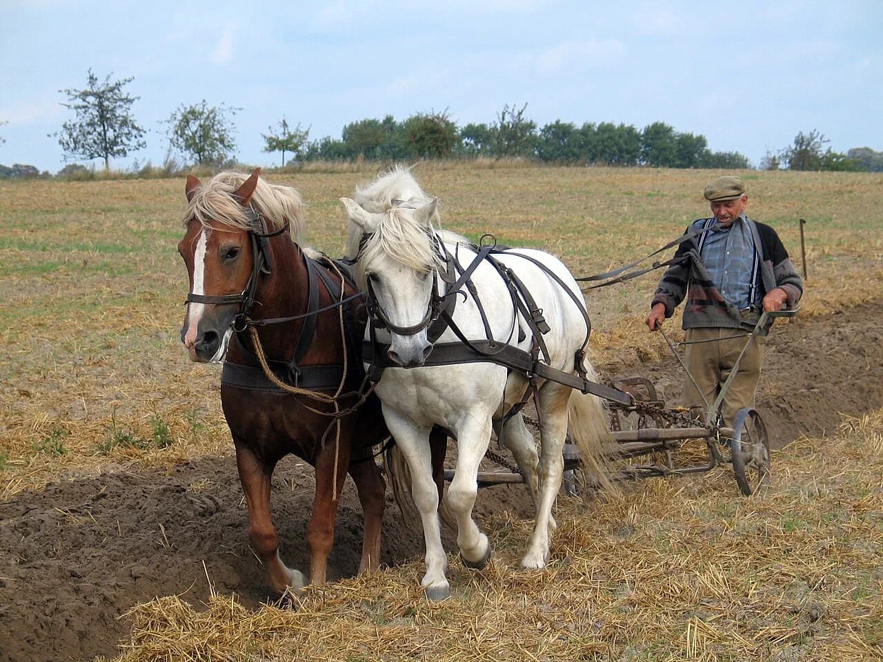 Landwirt