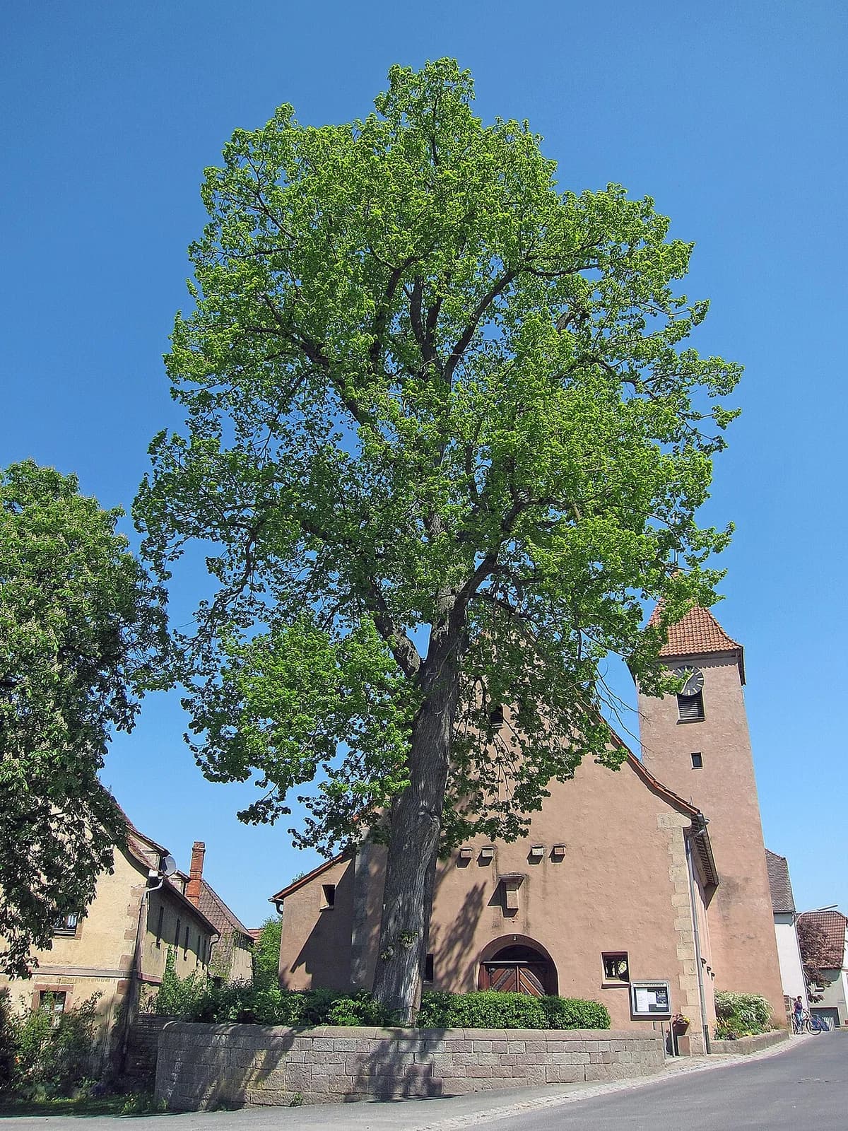 Waizenbach