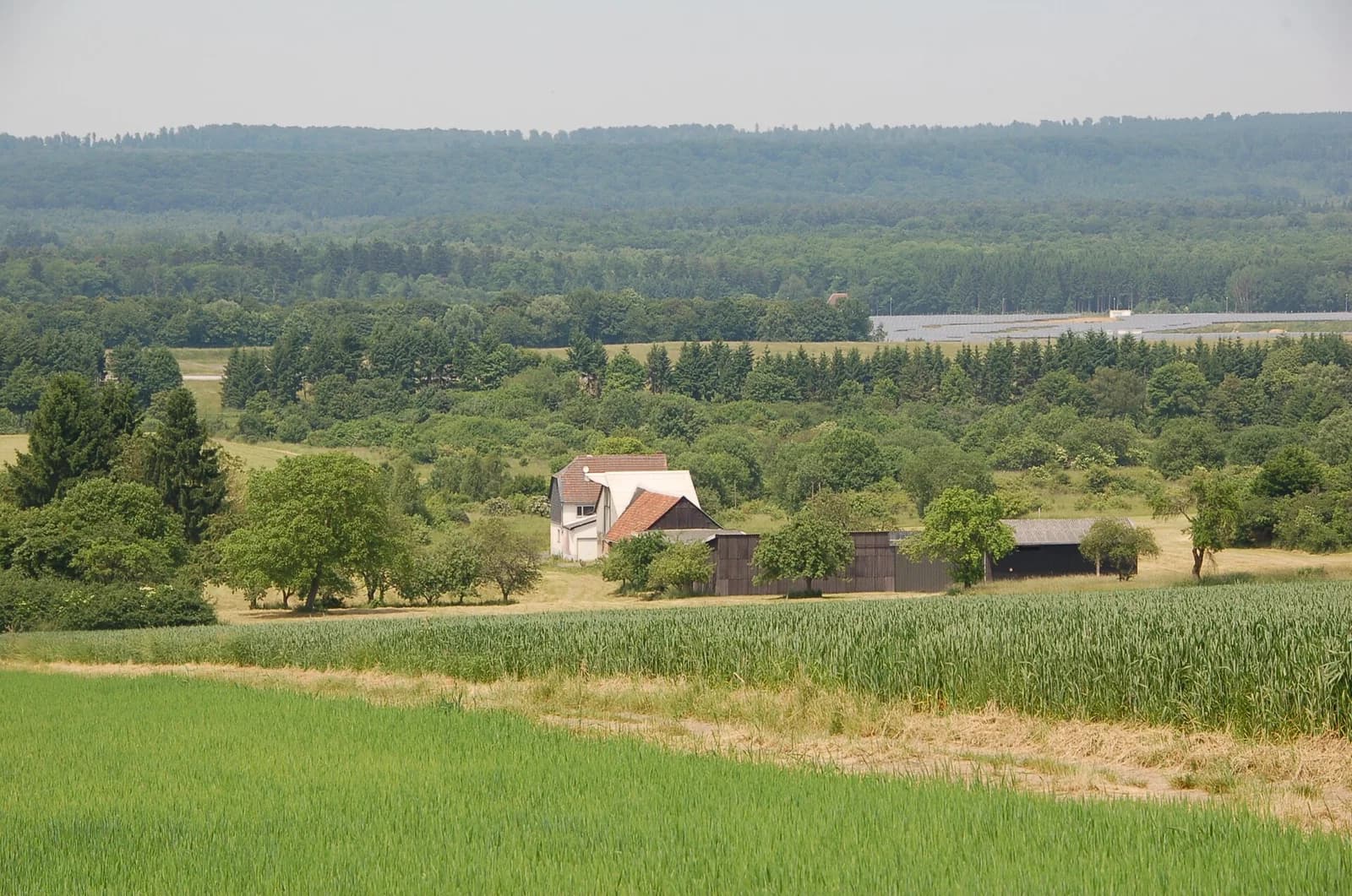 Pferdsfeld