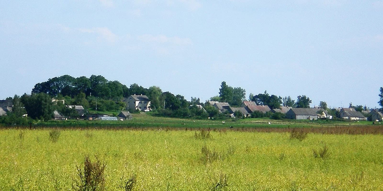 Jakšiai