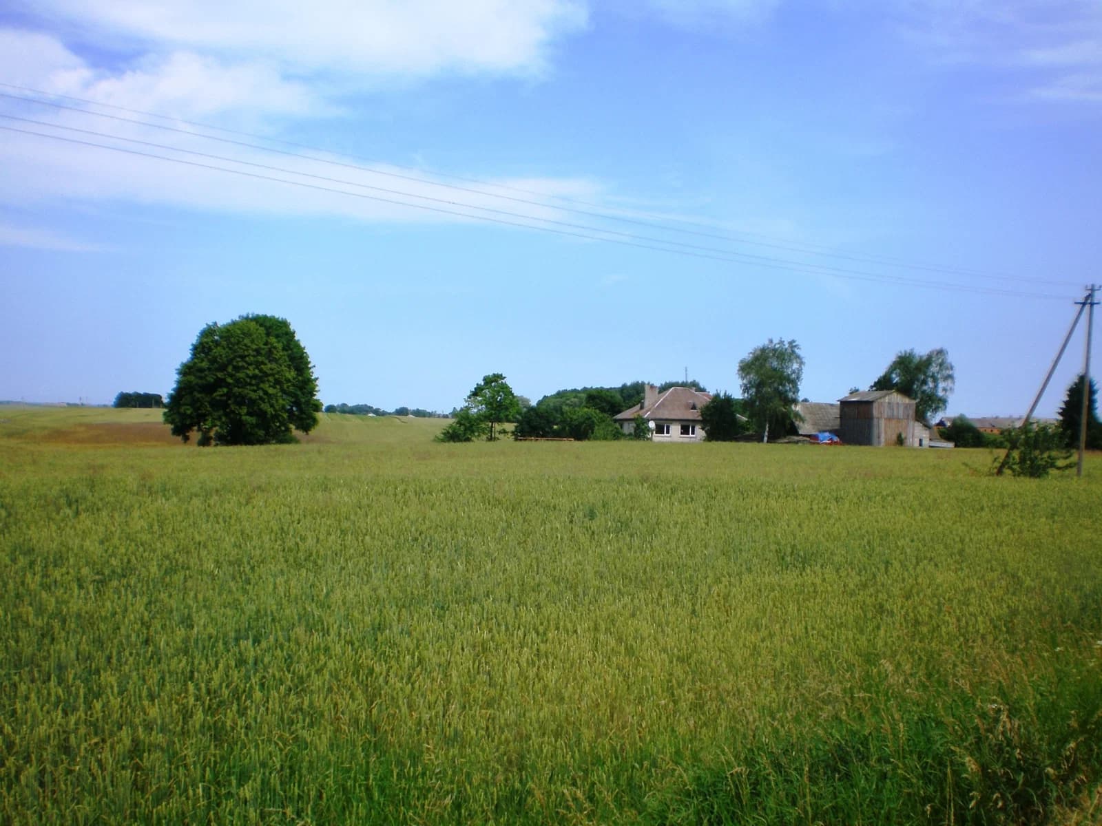 Kaupiškiai