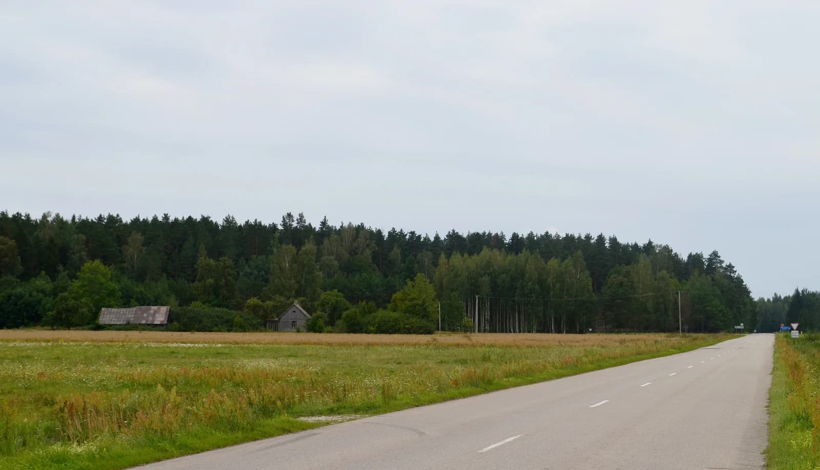 Laukiniškė