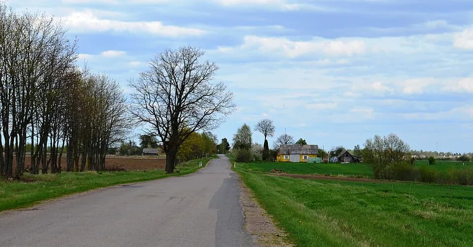 Liliūnai