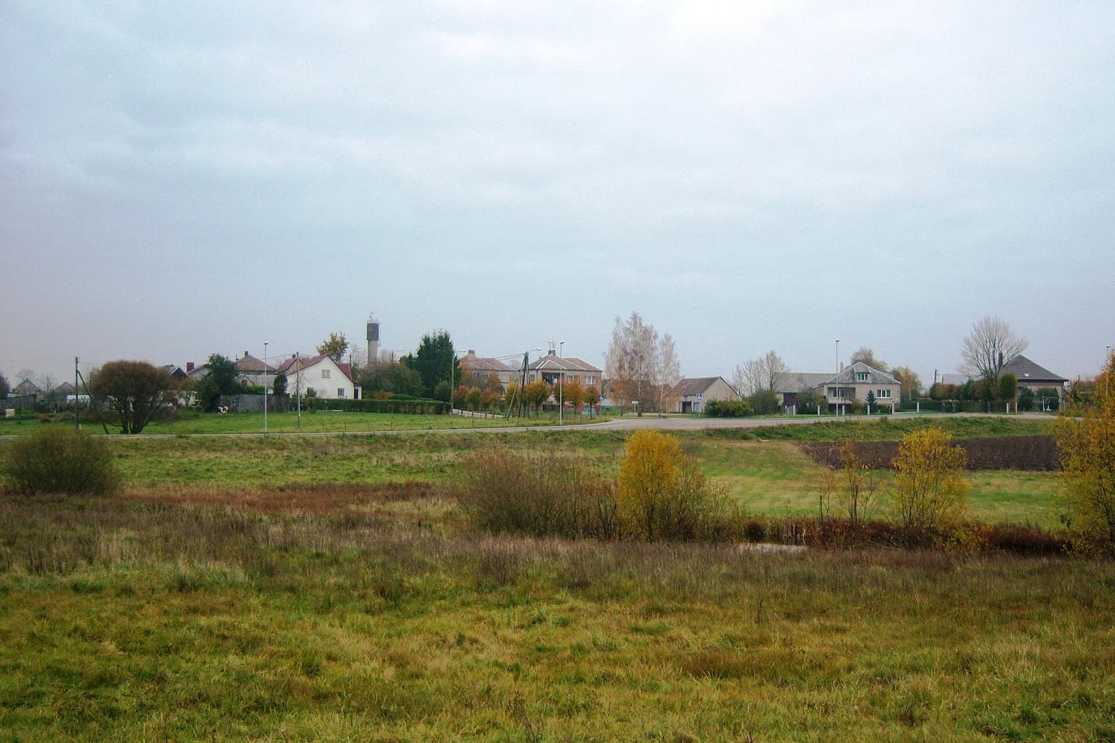 Rainiai