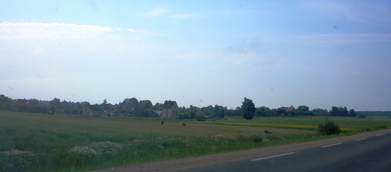 Vėžionys
