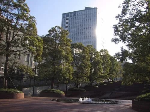 Toyo University