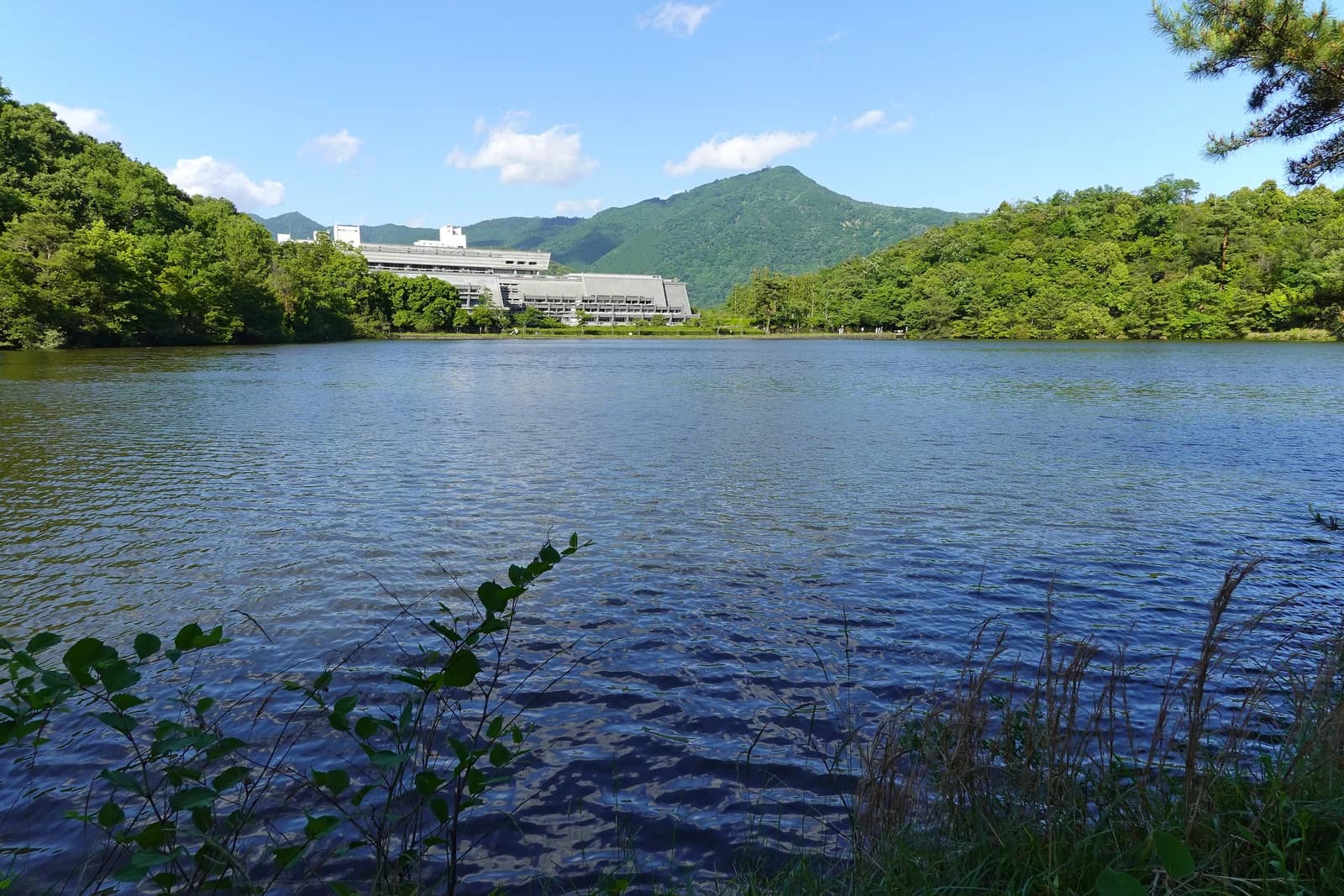 Sakyō-ku