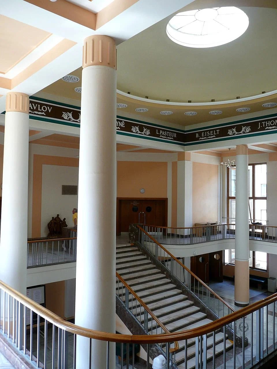 Palacký University Faculty of Medicine and Dentistry