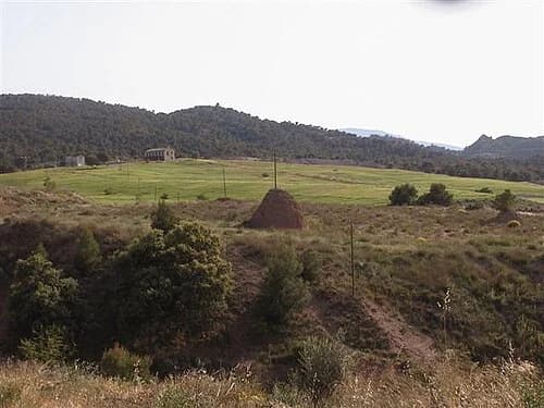 El Palmar