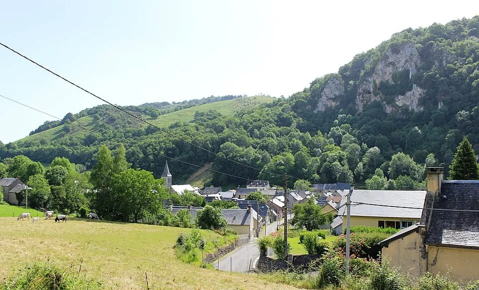 Lortet