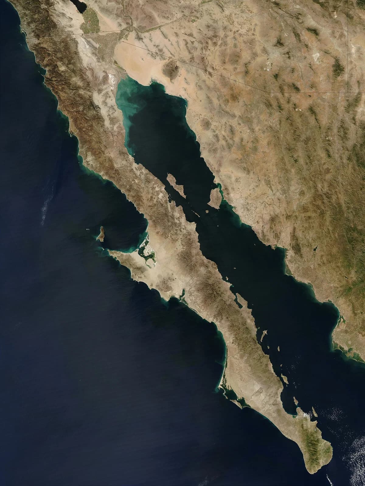 Gulf of California