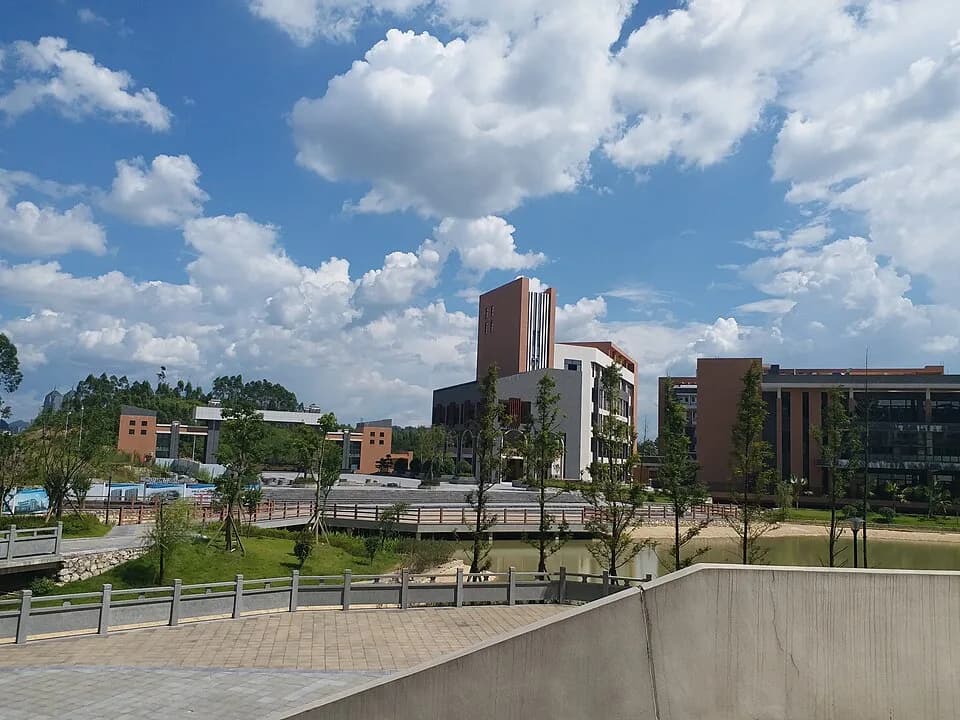 Lingui