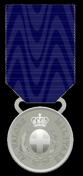Silver Medal of Military Valour
