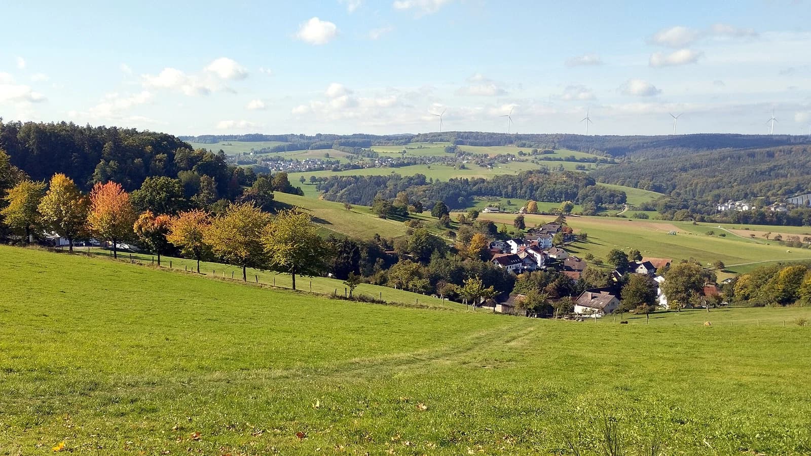 Erlenbach