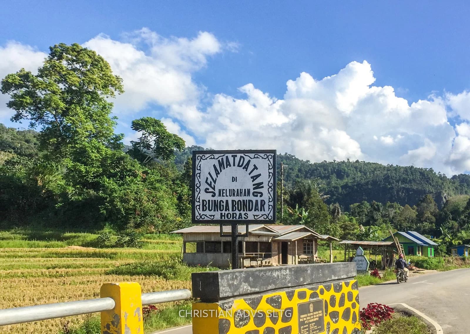 Bunga Bondar