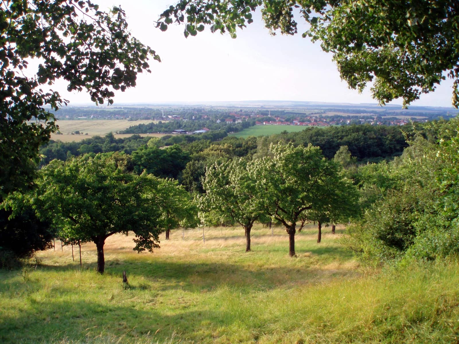 Ermsleben