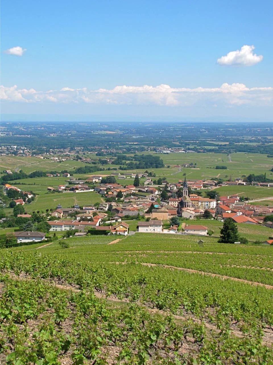 Fleurie