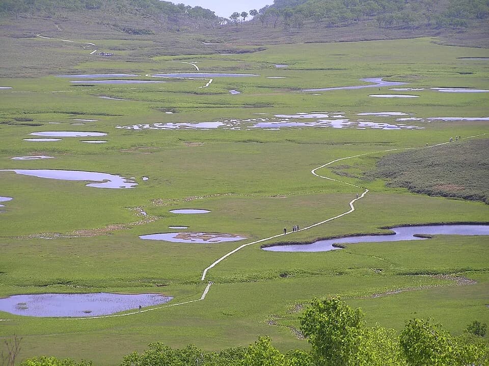 Uryū