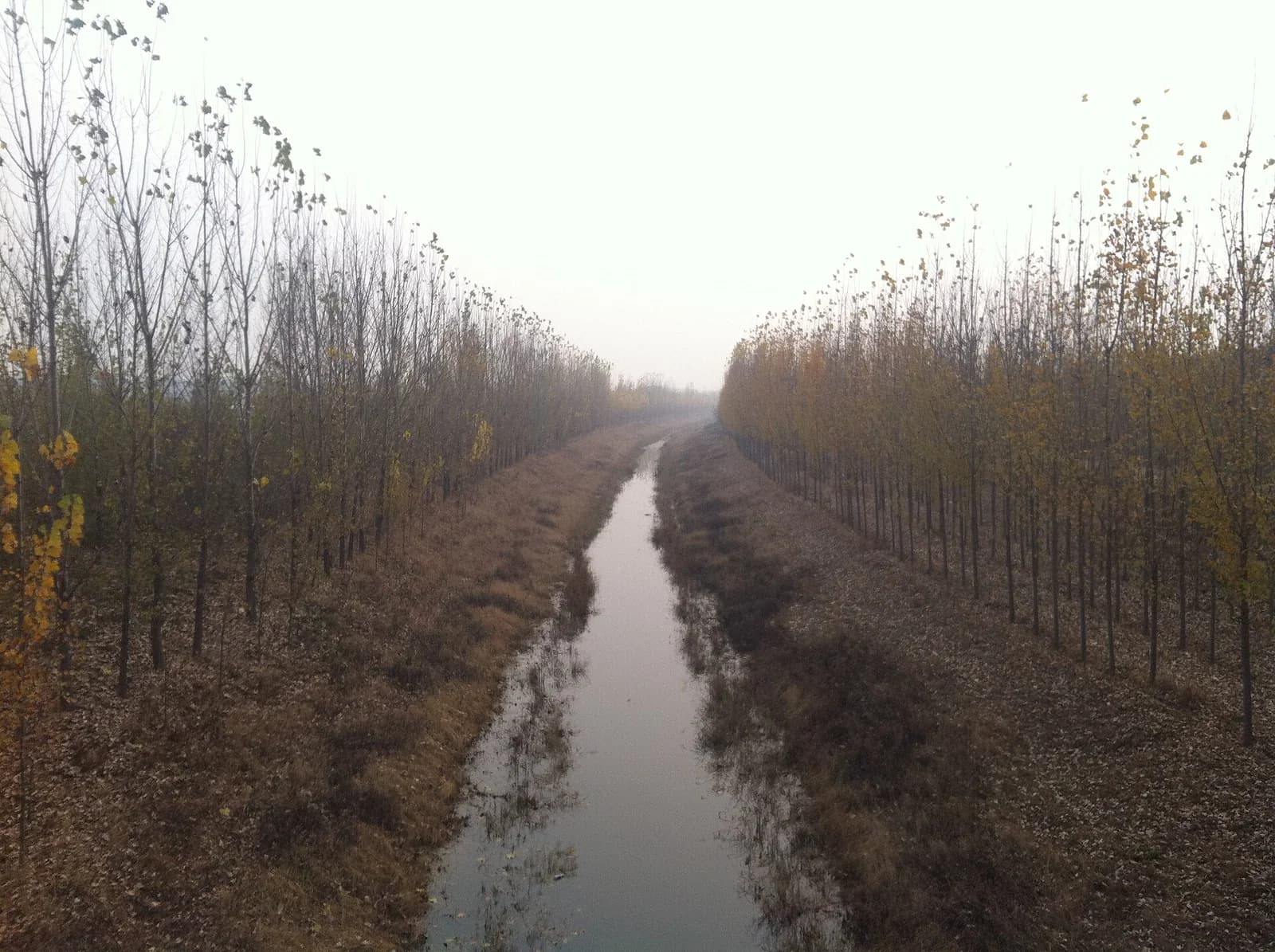 Jinghai