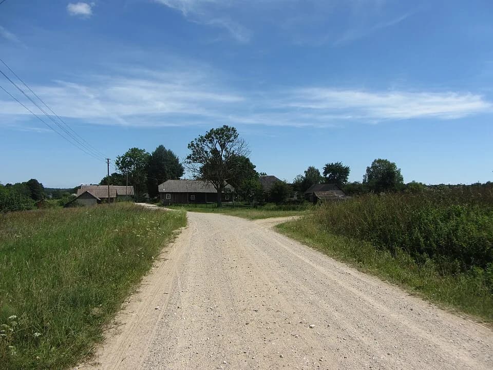 Graužiniai