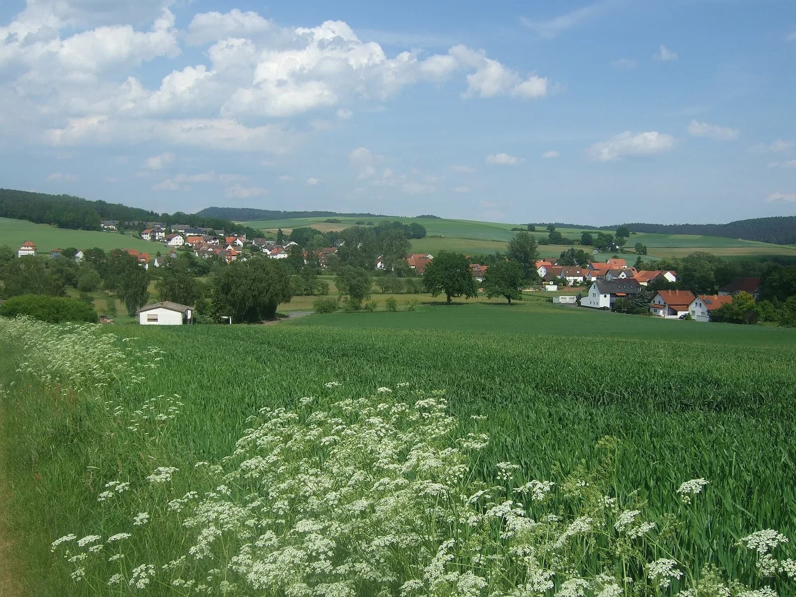 Niederwetter