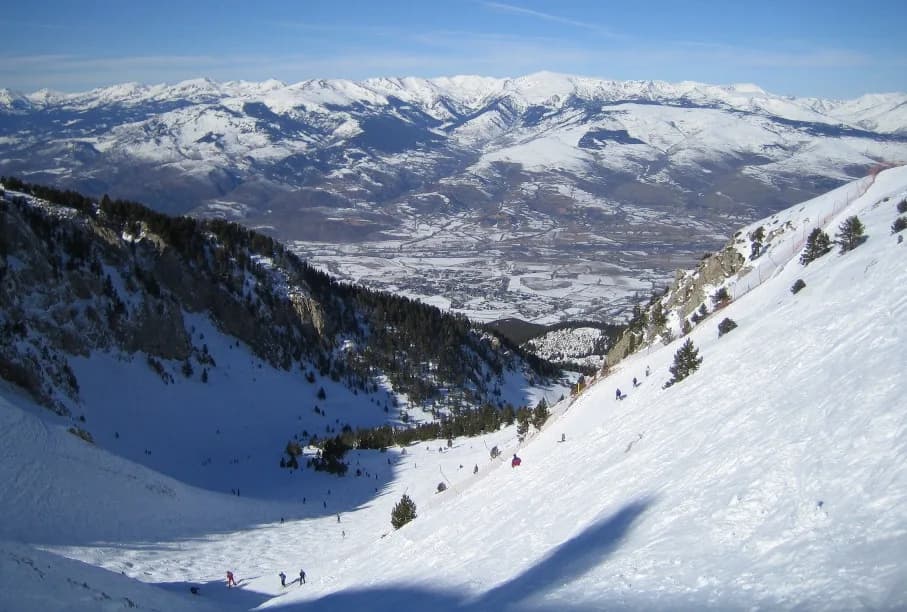 Alp