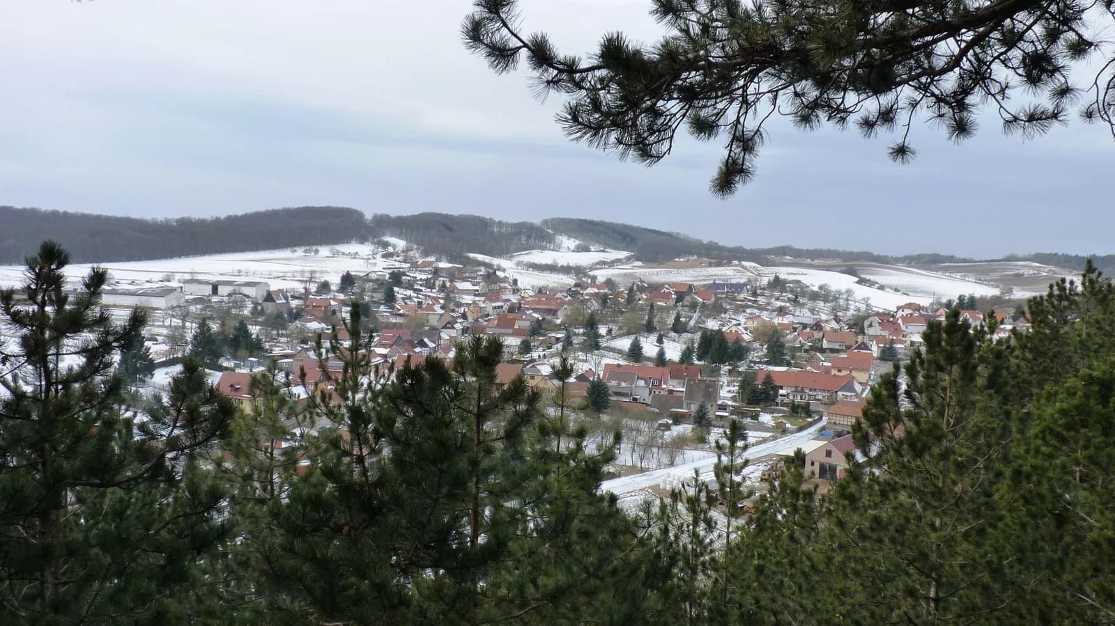 Steigerthal