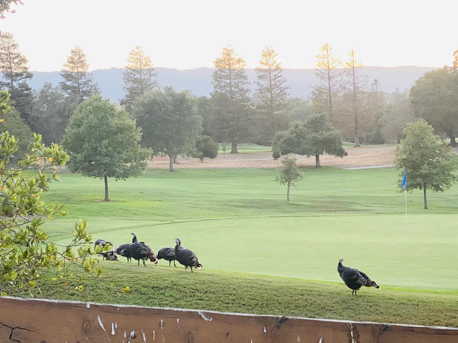 Stanford Golf Course