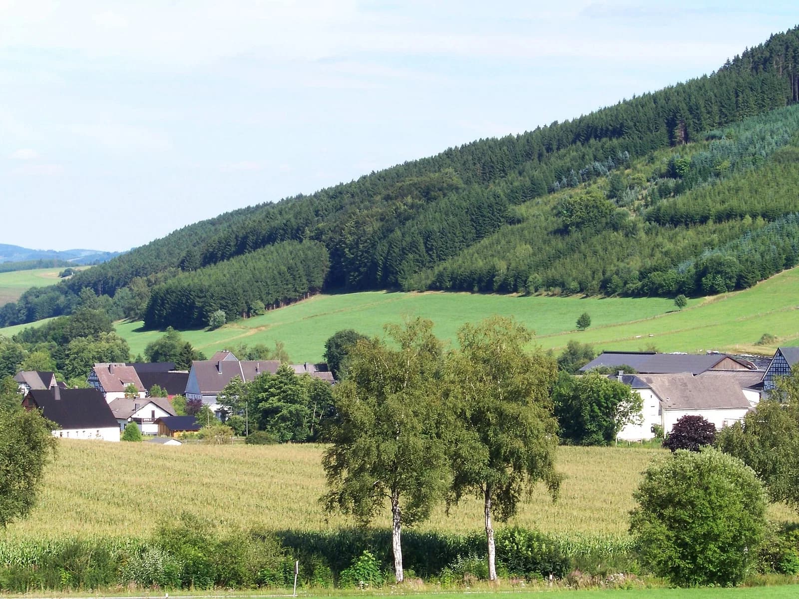 Obersalwey