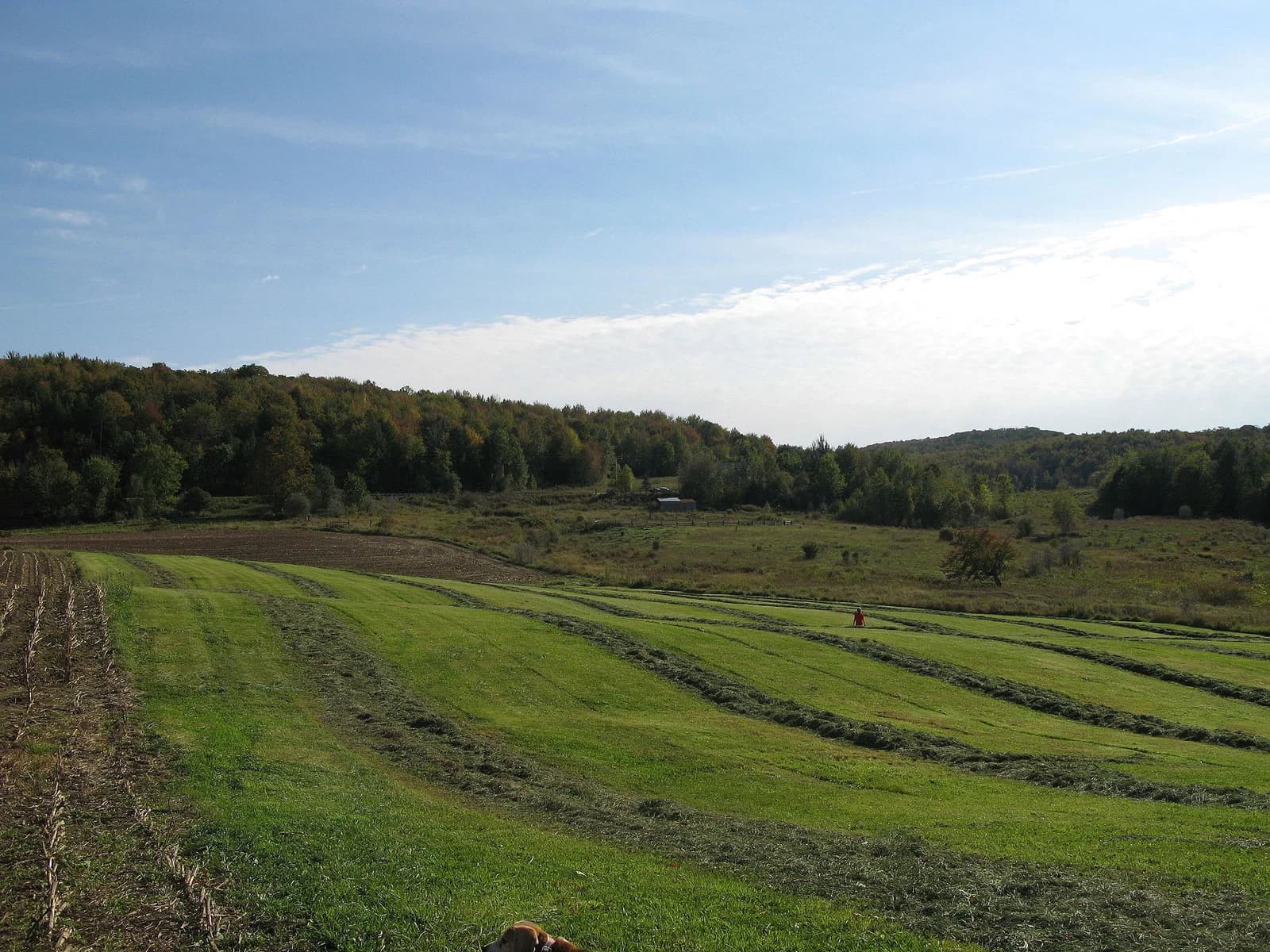 Fairfield