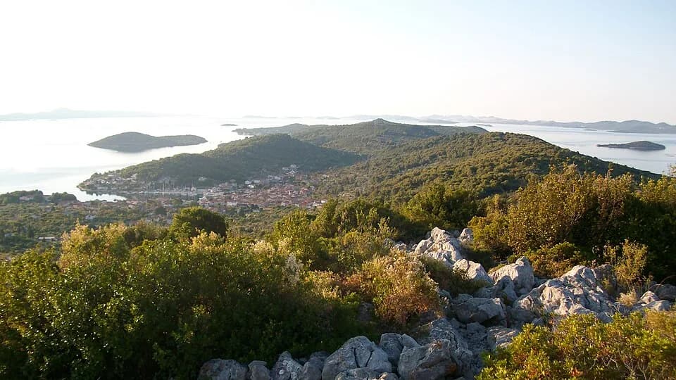Veli Iž