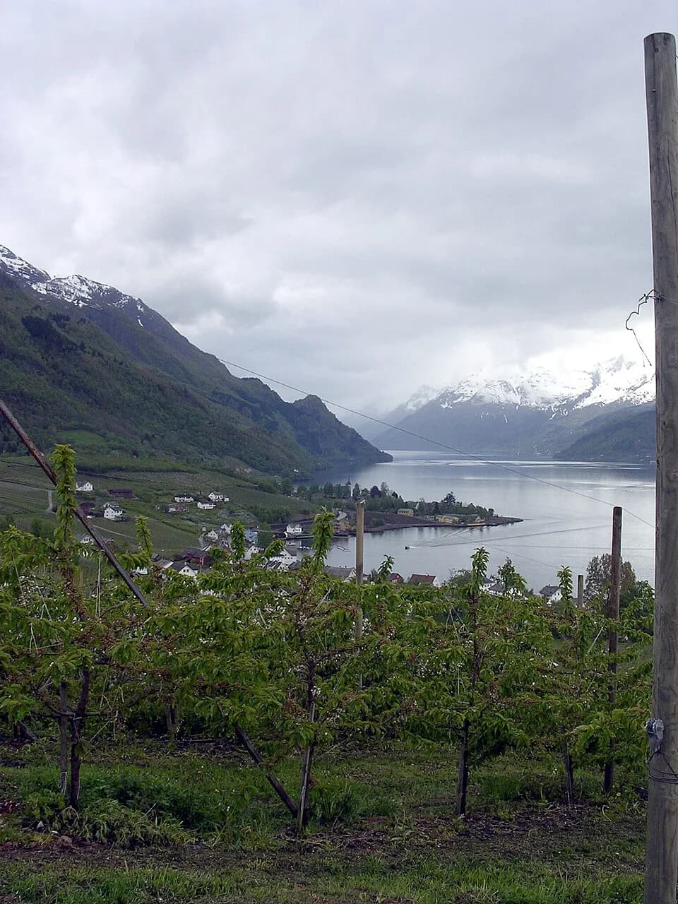 Hardanger