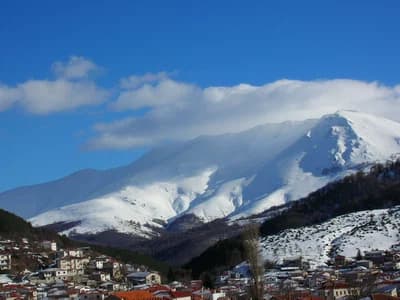 Vlasti