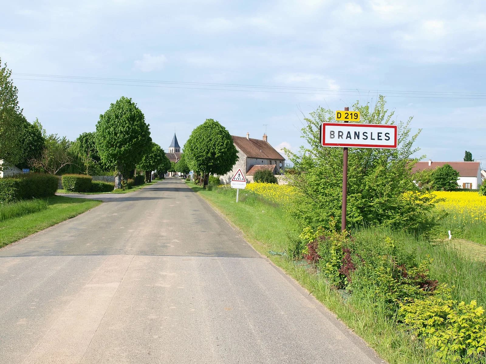 Bransles