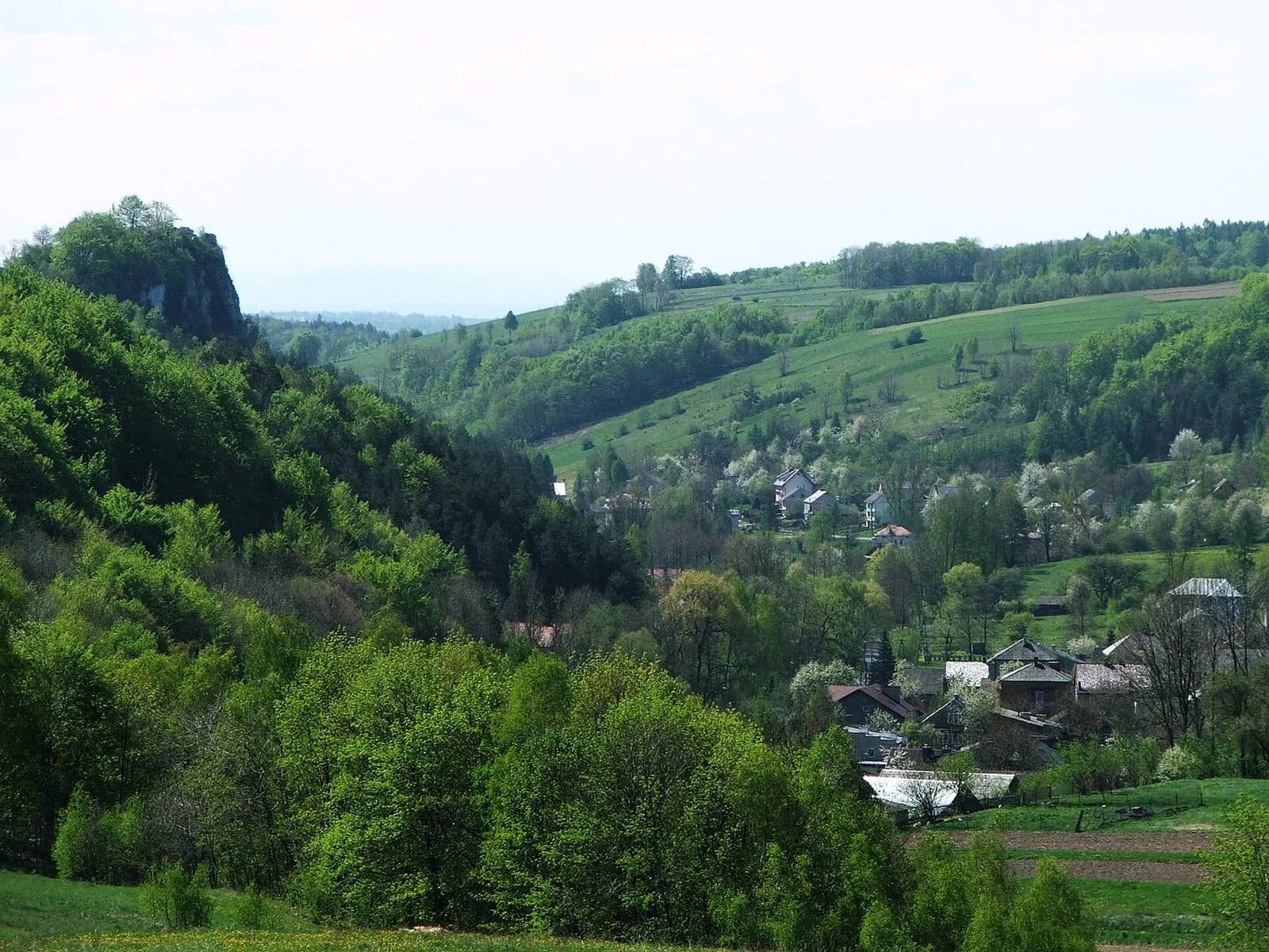 Gmina Jerzmanowice-Przeginia