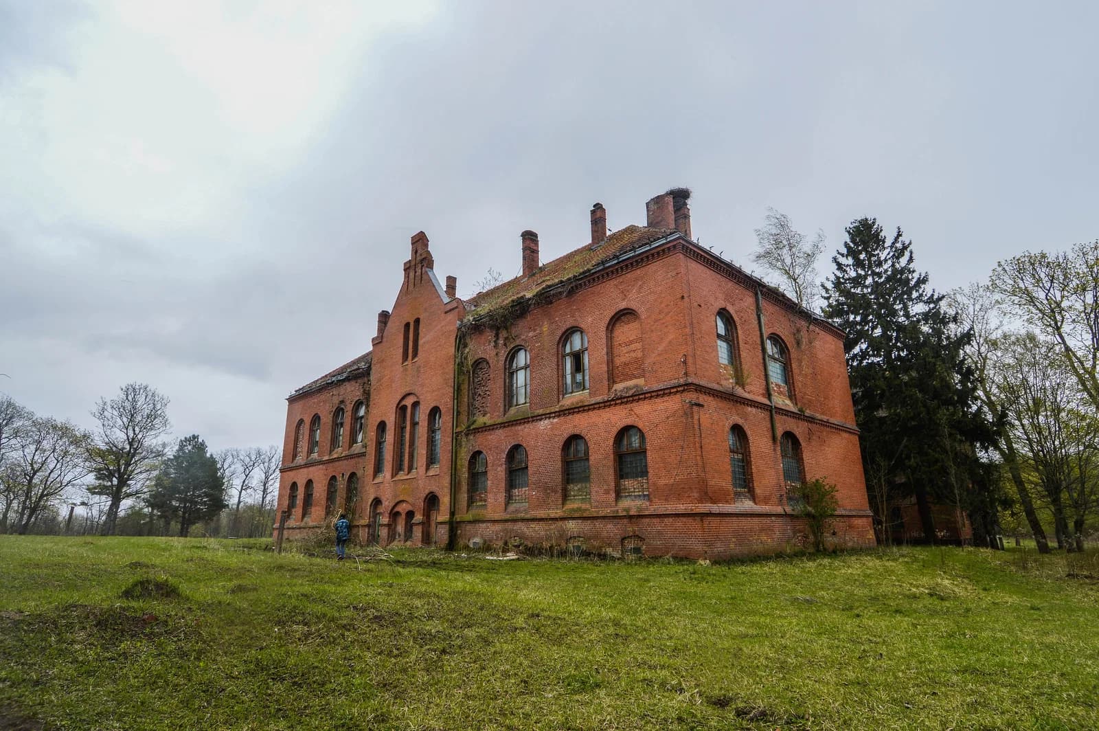 Seljony Bor