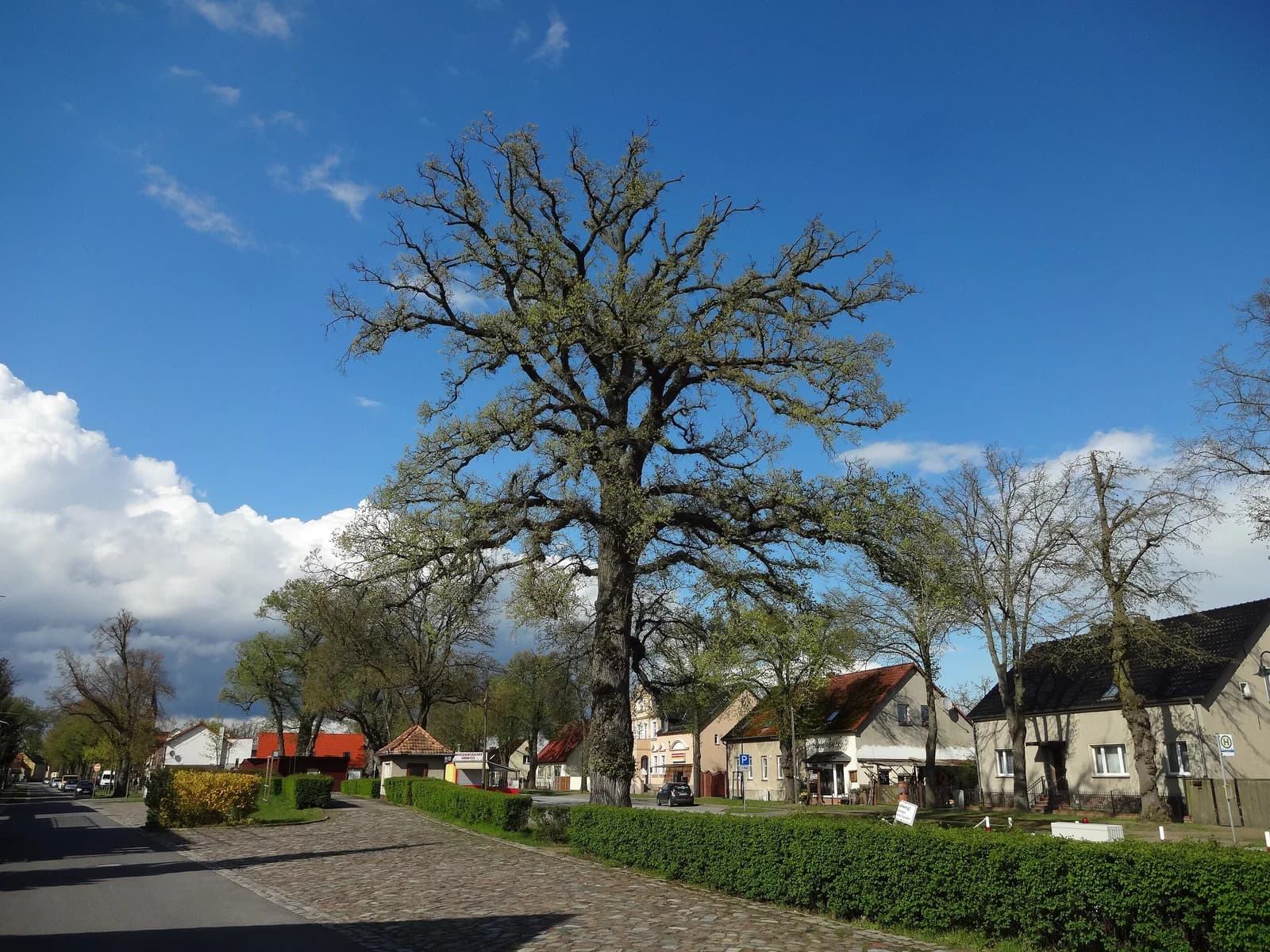 Friedersdorf (Heidesee)