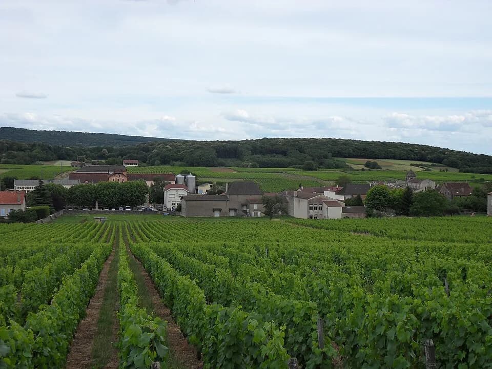 Saint-Gengoux-de-Scissé