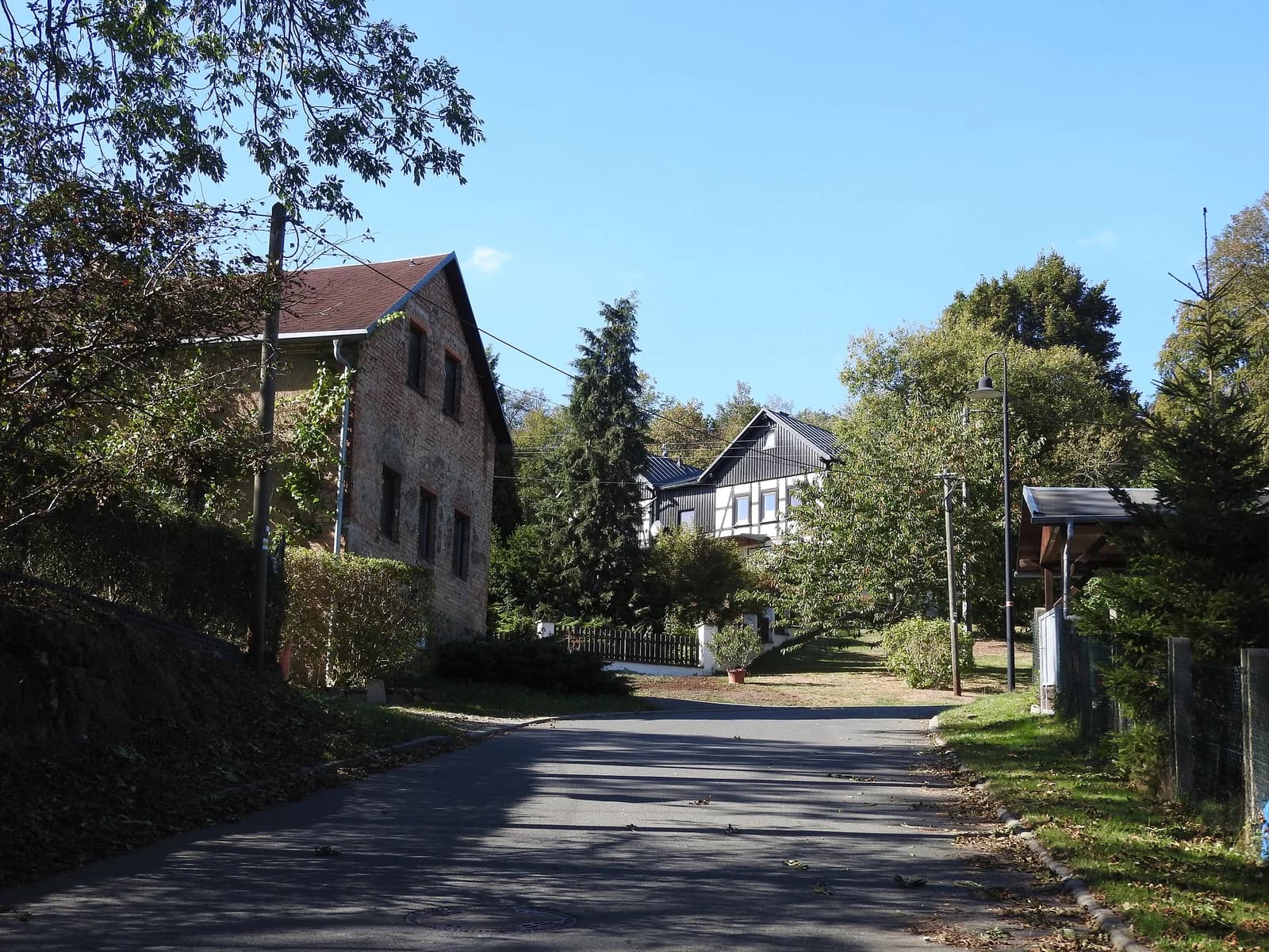 Frotschau