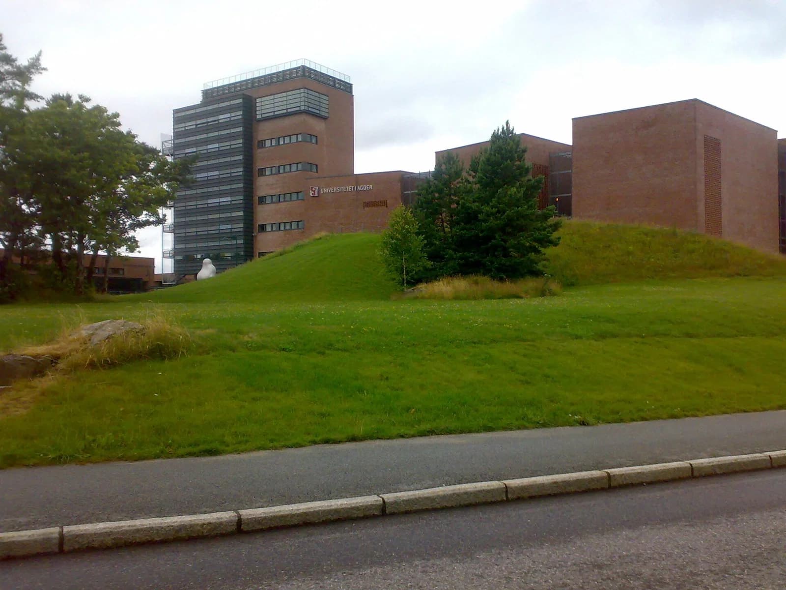 University of Agder