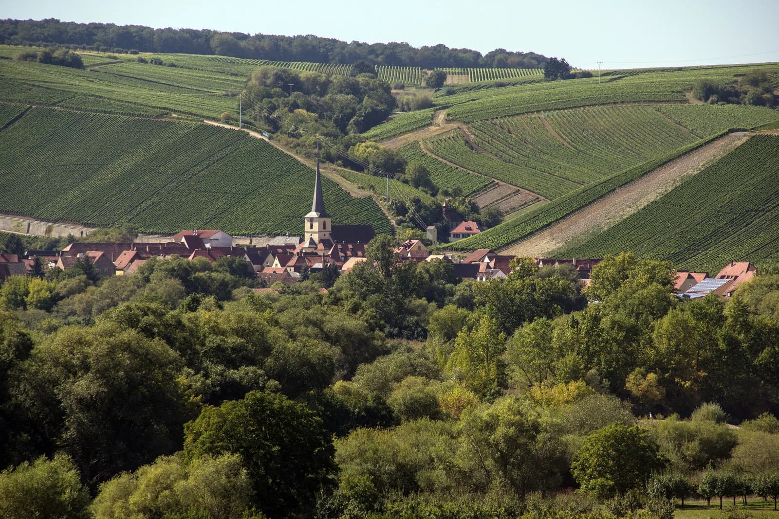 Escherndorf