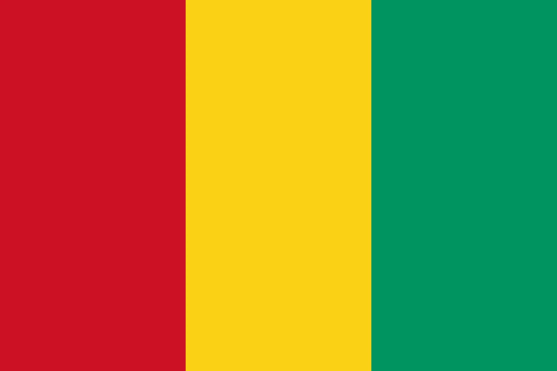 Prime Minister of Guinea