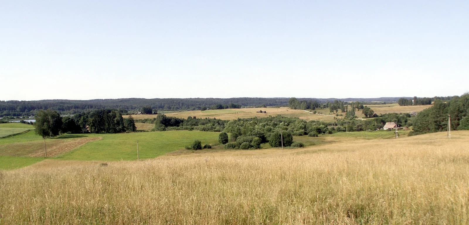 Gervėnai