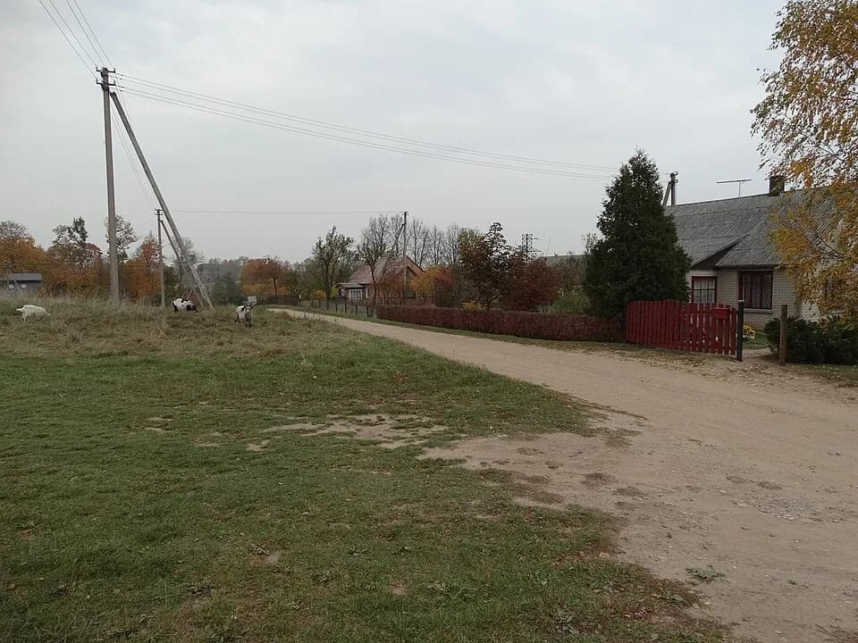 Kamšai