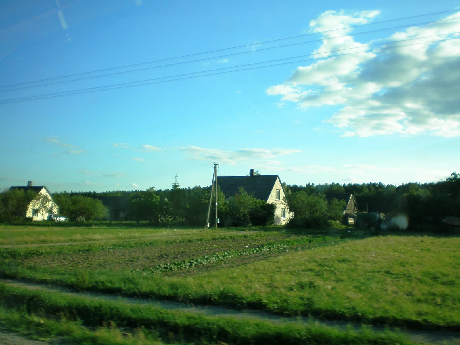 Mieliūnai