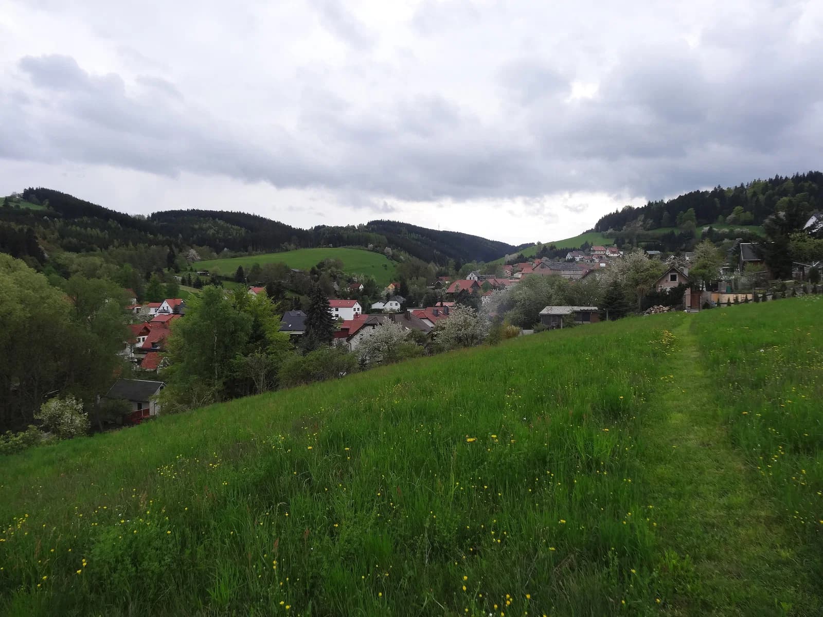 Garsitz